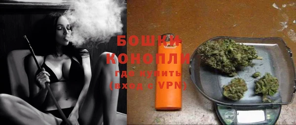 ПСИЛОЦИБИНОВЫЕ ГРИБЫ Арсеньев