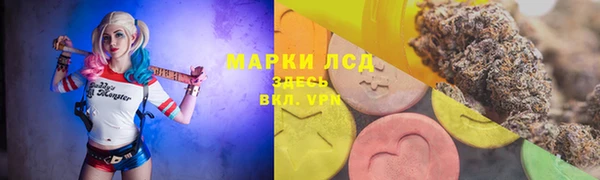 СК Армянск