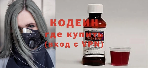 ПСИЛОЦИБИНОВЫЕ ГРИБЫ Арсеньев