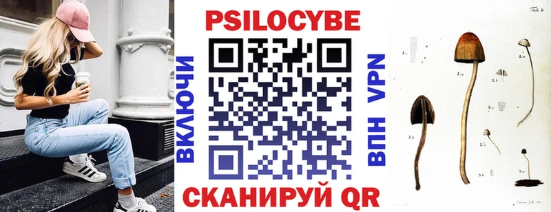 OMG tor  купить наркотик  Полесск  Галлюциногенные грибы Psilocybe 
